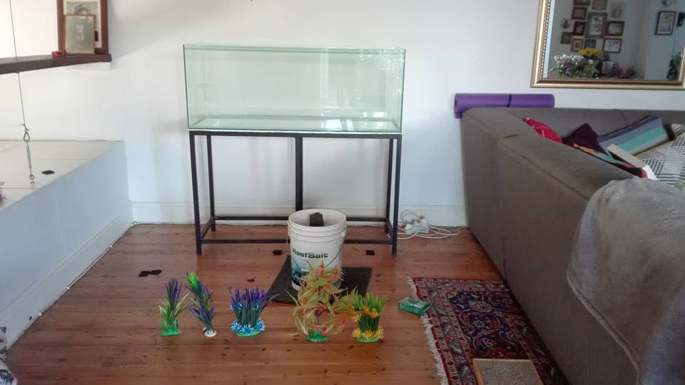 New rimless aquarium on a steel stand being set up