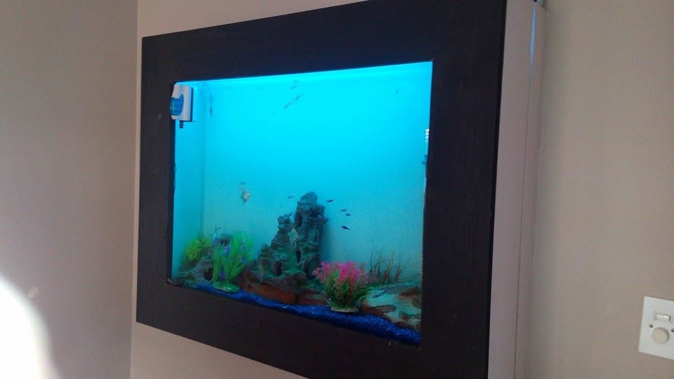 Modern aquarium with LED lighting