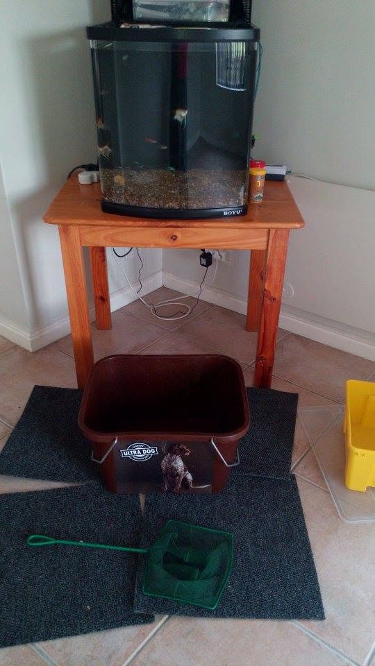 Aquarium being set up again on its stand after a move