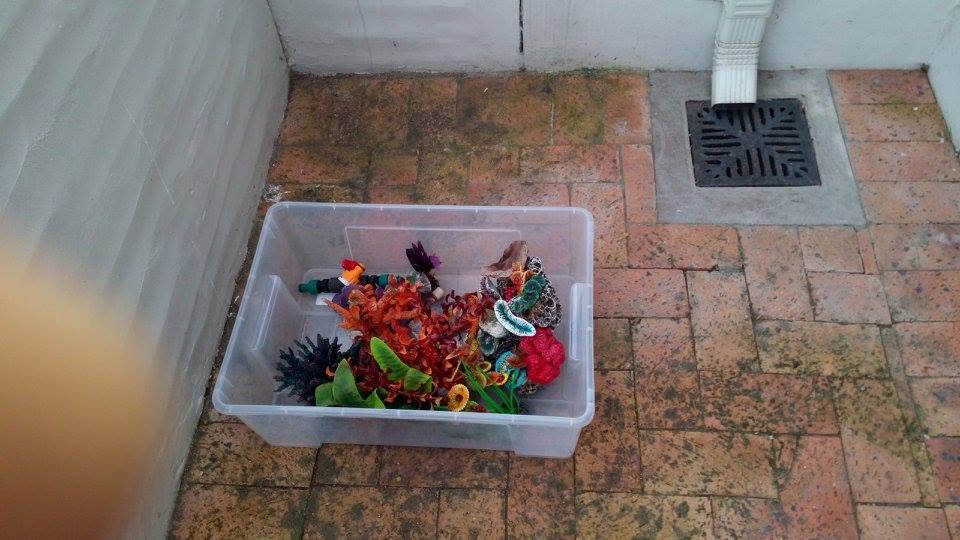 Aquarium plants and ornaments packed in a crate for a tank move